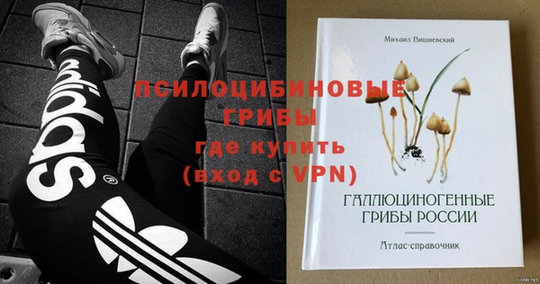 не бодяженный Медногорск