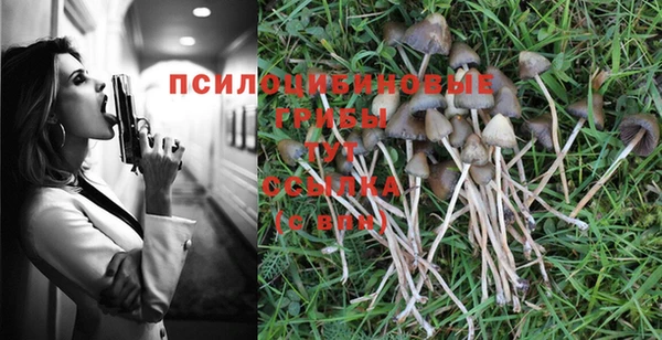 сатива Абаза