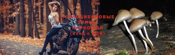 кристаллы Медвежьегорск