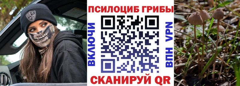 Галлюциногенные грибы мухоморы  как найти закладки  Приморско-Ахтарск 