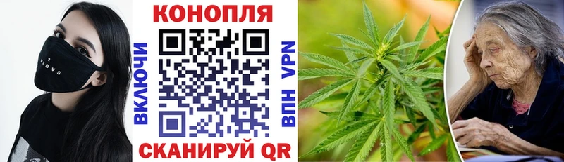Бошки Шишки сатива  нарко площадка Telegram  Приморско-Ахтарск  где можно купить наркотик 